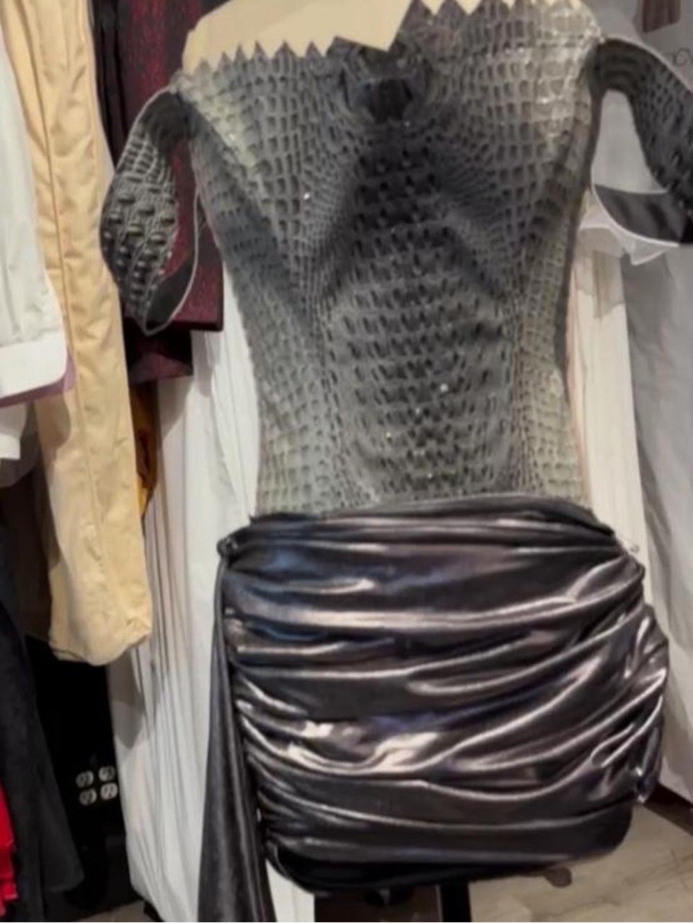 Metallic Gray Ruched Skirt and Snakeskin Corset Top